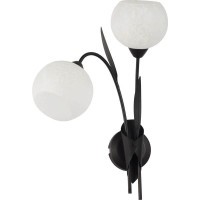 Бра Lussole GRLSF-6291-02 BAGHERIA IP21 под лампы 2xE14 12W