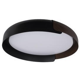 10198 Black Потолочный светильник LOFT IT Coin