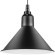 Подвесной светильник с 1 плафоном Lightstar 765027 Loft под лампу 1xE14 40W