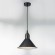Подвесной светильник с 1 плафоном Lightstar 765027 Loft под лампу 1xE14 40W