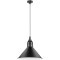 Подвесной светильник с 1 плафоном Lightstar 765027 Loft под лампу 1xE14 40W