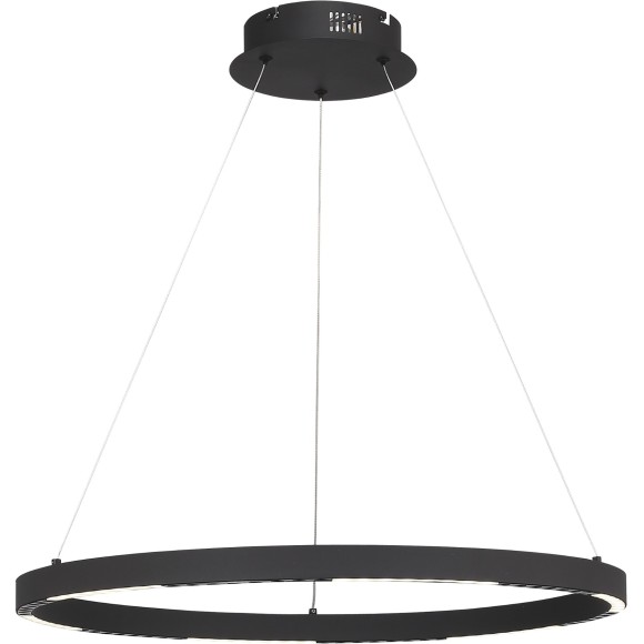 SL6238.433.01 Светильник подвесной ST-Luce черный/черный LED 1*32W 4000K PARILLA