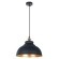 Подвесной светильник Arte Lamp CAPPELLO A7039SP-1BK