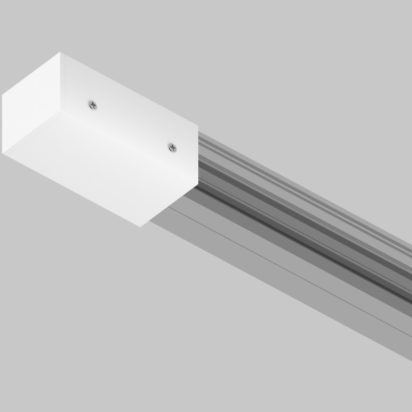 Заглушка к профилю Maytoni Elasity IP O-TR001-EC-W