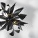Люстра подвесная Lightstar 754267 Turbio под лампы 6xG9 36W