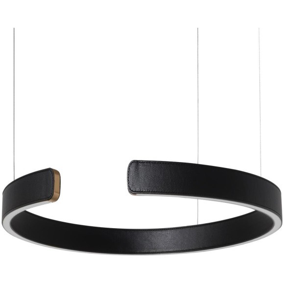 10025/400 Black Подвесной светильник LOFT IT Ring