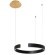 10025/400 Black Подвесной светильник LOFT IT Ring