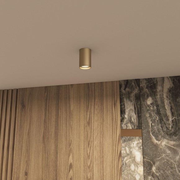 Точечный светильник Tube DK2050-SG