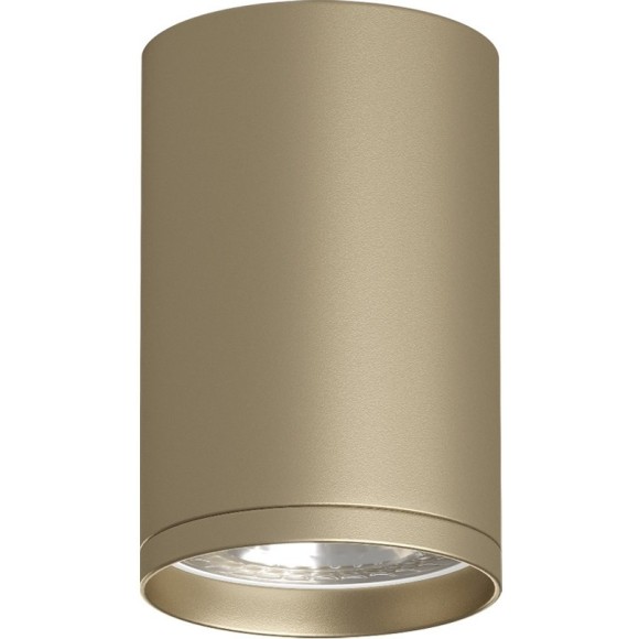 Точечный светильник Tube DK2050-SG