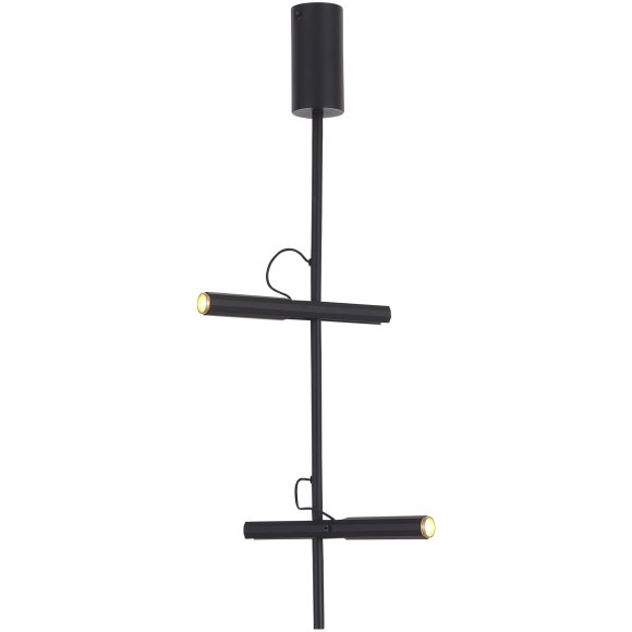 SL6210.403.02 Светильник подвесной ST-Luce Черный/Черный, Золотистый LED 2*3W 3000K LILT