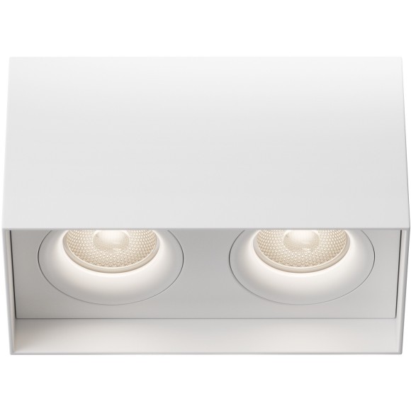 Потолочный светильник Technical C015CL-02W