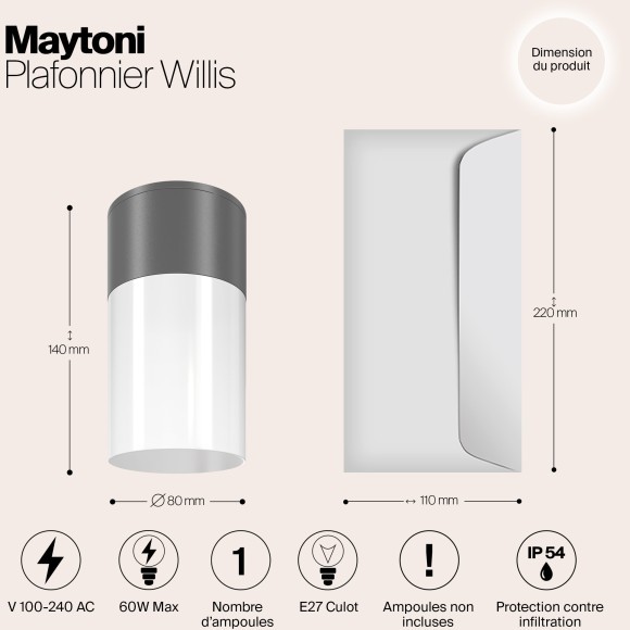 Потолочный светильник Outdoor O418CL-01GR Потолочный светильник Outdoor O418CL-01GR