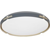 Потолочный светильник Paneli LDC 8063-48W BL