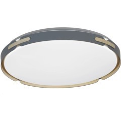 Потолочный светильник Paneli LDC 8063-48W BL Потолочный светильник Paneli LDC 8063-48W BL