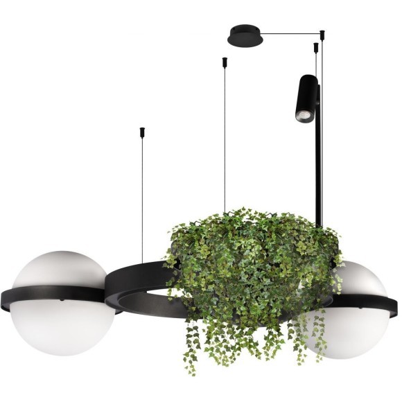 10121/2 Подвесной светильник LOFT IT Jardin