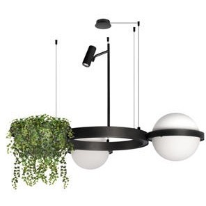 10121/2 Подвесной светильник LOFT IT Jardin