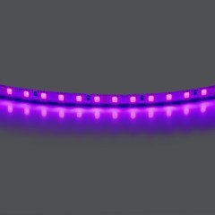 Лента цветного свечения 24V, фиолетовый Lightstar Lightstar 420518