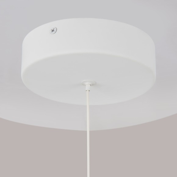 Подвесной светильник Maytoni Ray P021PL-L10W