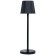Декоративная настольная лампа Arte Lamp FUYUE A1616LT-1BK