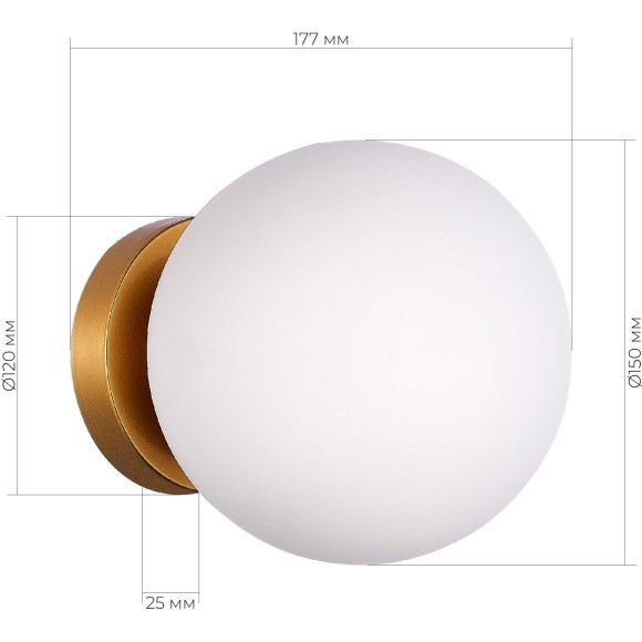SL717.201.01 Светильник настенный Золотистый/Белый E27 1*40W ACINI