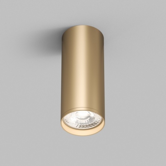 Точечный светильник Tube DK2051-SG