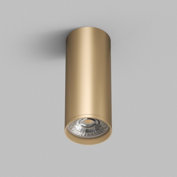Точечный светильник Tube DK2051-SG