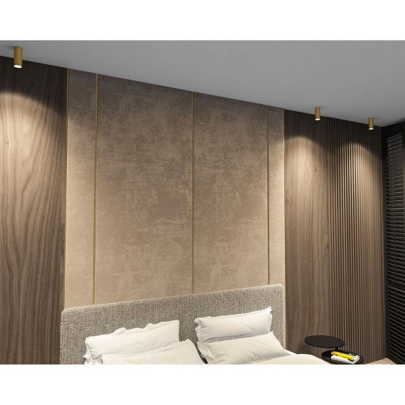 Точечный светильник Tube DK2051-SG