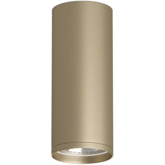 Точечный светильник Tube DK2051-SG