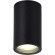SL9010.412.01 Светильник уличный потолочный ST-Luce черный/белый GU10 1*50W TUBO
