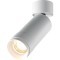 Потолочный светильник Technical C055CL-L12W3K-Z-W