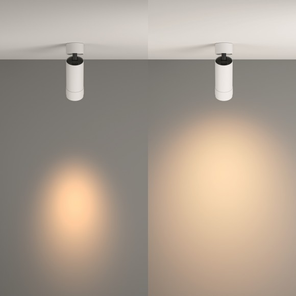 Потолочный светильник Technical C055CL-L12W3K-Z-W Потолочный светильник Technical C055CL-L12W3K-Z-W