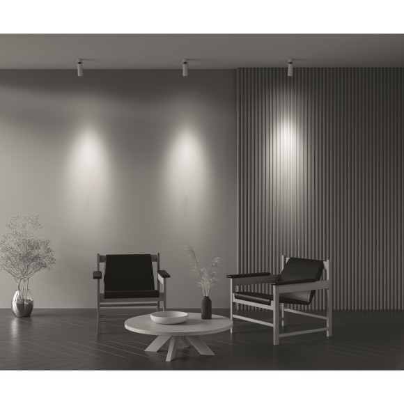 Потолочный светильник Technical C055CL-L12W3K-Z-W Потолочный светильник Technical C055CL-L12W3K-Z-W