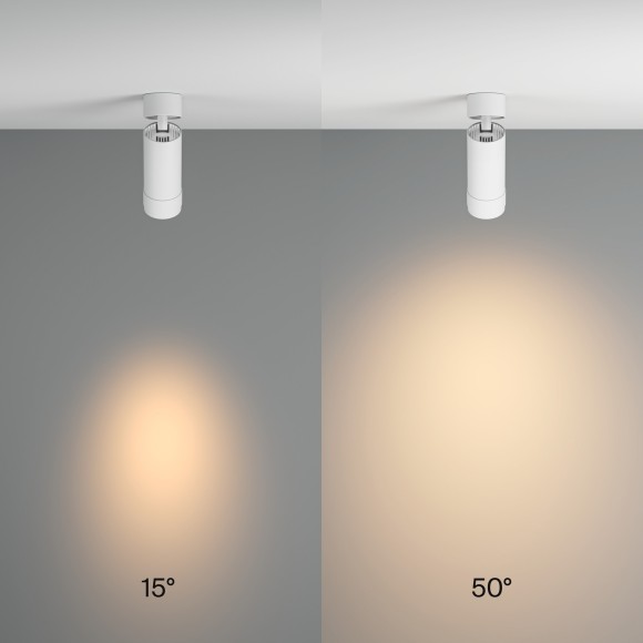 Потолочный светильник Technical C055CL-L12W3K-Z-W Потолочный светильник Technical C055CL-L12W3K-Z-W