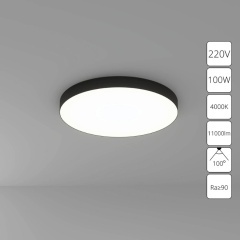 Потолочный светильник Arte Lamp FADO A6699PL-1BK