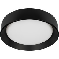 10202 BB  Потолочный светильник  LOFT IT Coin