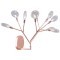 Бра Crystal Lux EVITA AP9 COPPER/TRANSPARENT