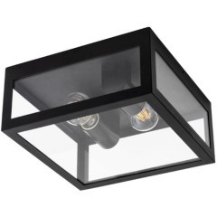 Уличный потолочный светильник Arte Lamp A4569PF-2BK BELFAST IP44 под лампы 2xE27 60W