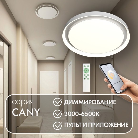 Потолочный светильник Cany DK6516-WH