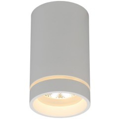 Потолочный спот APL.0053.09.10