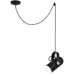 Подвесной светильник Ampolla 2007-1P Подвесной светильник Ampolla 2007-1P