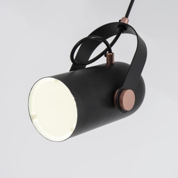 Подвесной светильник Ampolla 2007-1P