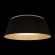 10224 Black Потолочный светильник LOFT IT Evans