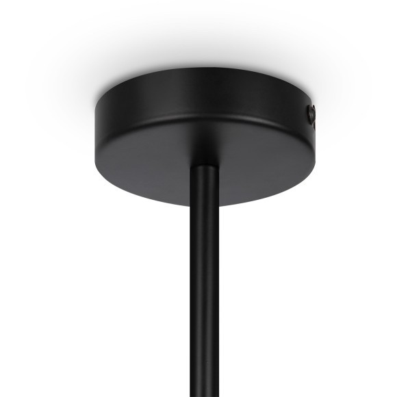 Подвесной светильник Maytoni MOD177PL-04B