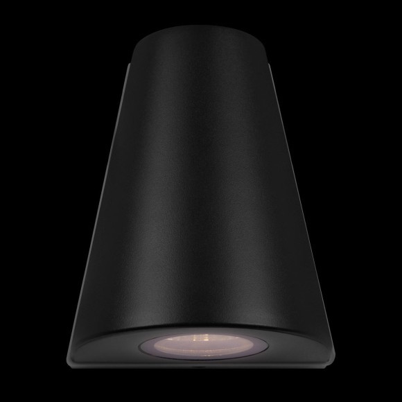 100004/2 Уличный светильник  LOFT IT Eterno