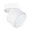 Накладной потолочный светильник Arte Lamp A5549PL-1WH INTERCRUS под лампу 1xGX53 15W