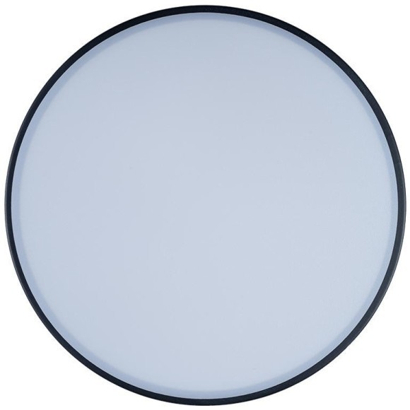 10002/12 Black Потолочный светильник LOFT IT Axel