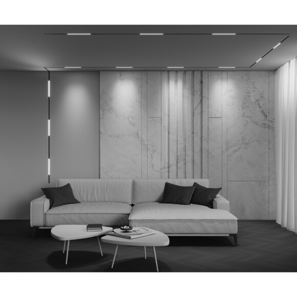 Maytoni EXILITY X TR240-2-6W4K-B Трековый линейный светодиодный черный магнитный светильник длиной 33см, с DIP переключателем группы включения на корпусе, LED 6Вт 4000K 300Лм CRI90 120° IP20 48В