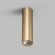 Точечный светильник Tube DK2052-SG