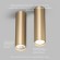 Точечный светильник Tube DK2052-SG