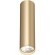 Точечный светильник Tube DK2052-SG